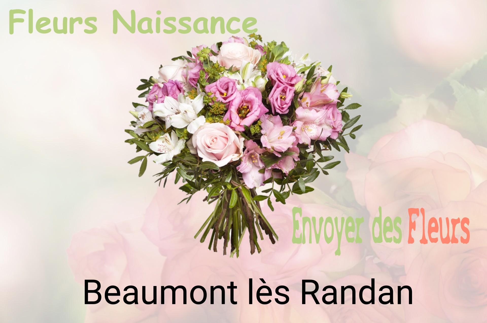 Bouquet de fleurs de naissance livré à Beaumont-lès-Randan
